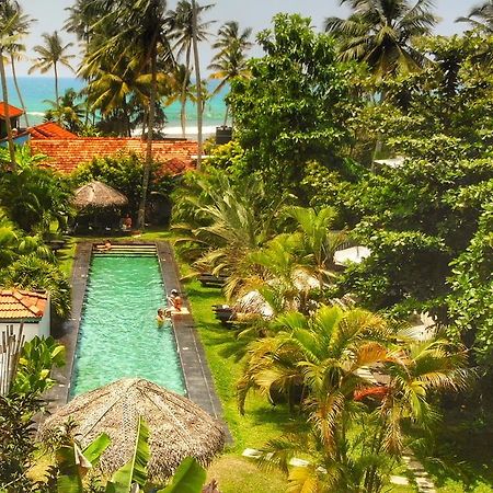 Turtle Eco Beach Matara Exterior foto