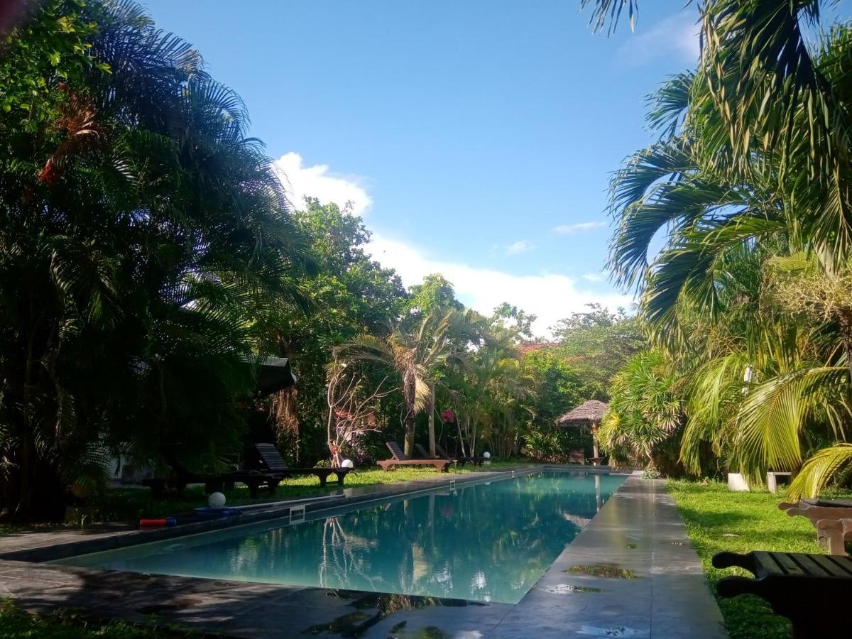 Turtle Eco Beach Matara Exterior foto