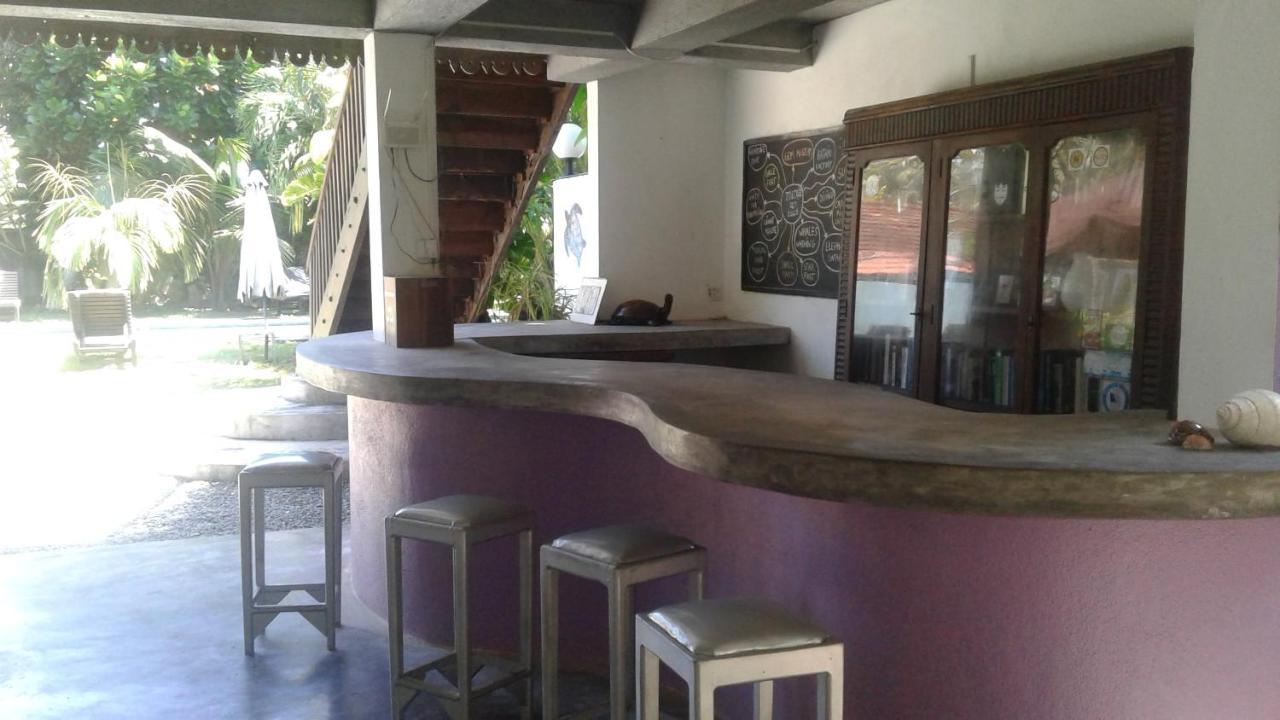 Turtle Eco Beach Matara Exterior foto