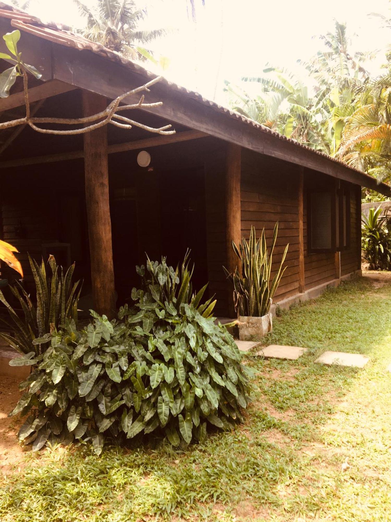 Turtle Eco Beach Matara Exterior foto