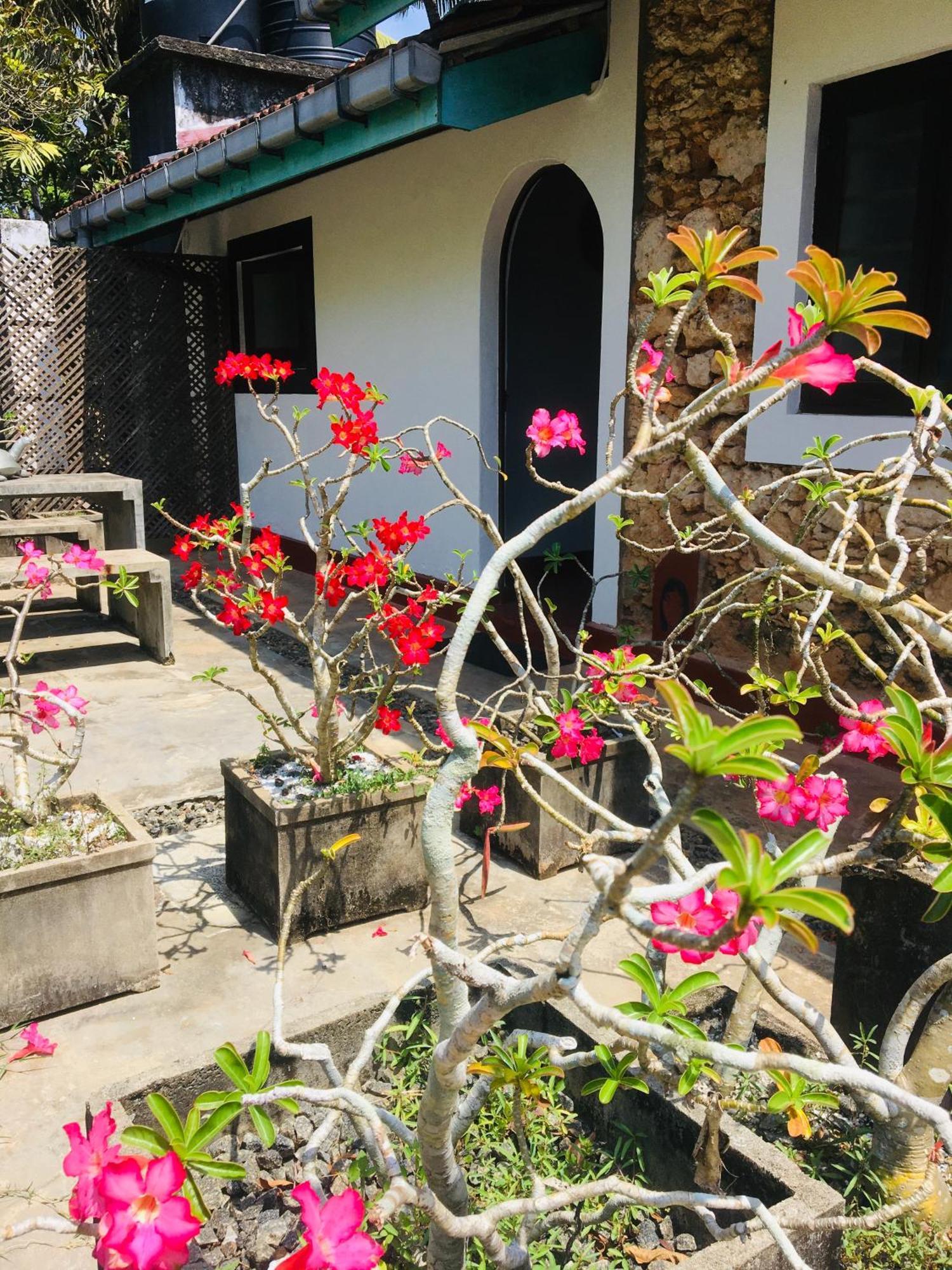 Turtle Eco Beach Matara Exterior foto