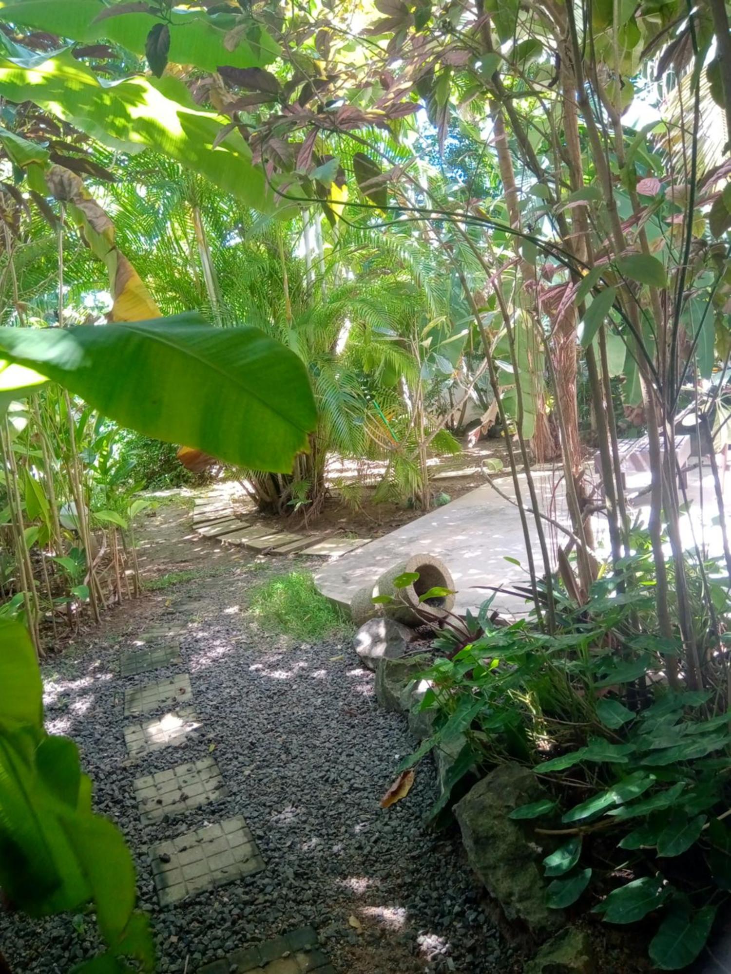 Turtle Eco Beach Matara Exterior foto