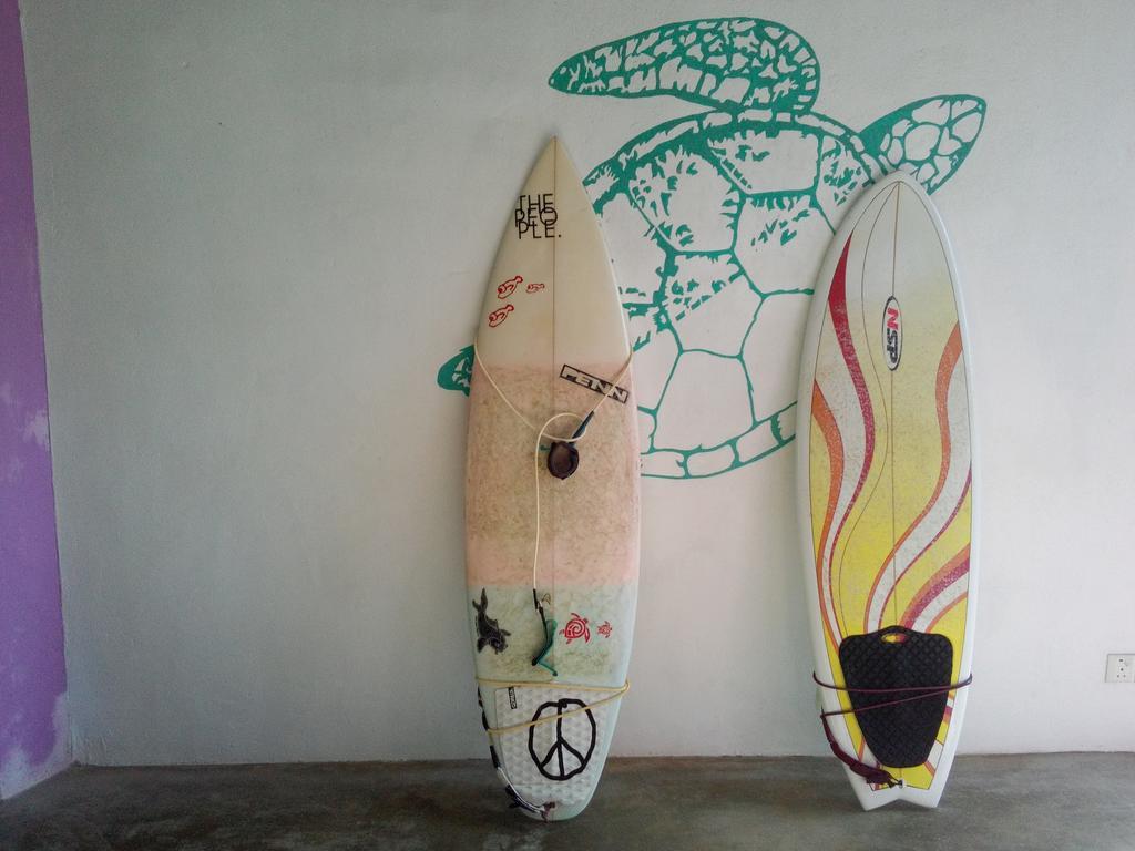 Turtle Eco Beach Matara Exterior foto