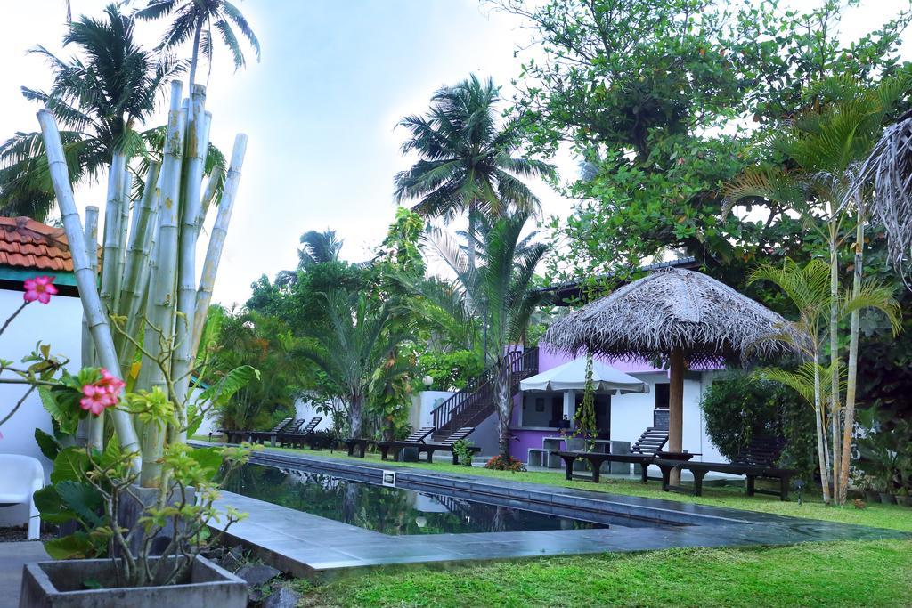 Turtle Eco Beach Matara Exterior foto