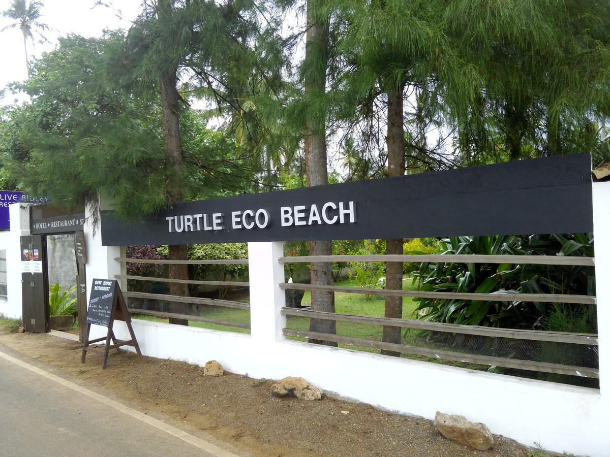 Turtle Eco Beach Matara Exterior foto