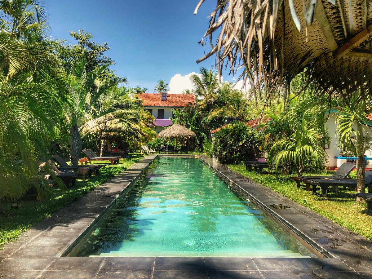 Turtle Eco Beach Matara Exterior foto