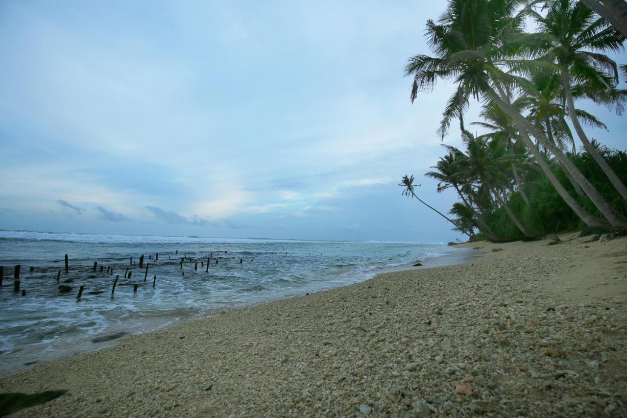 Turtle Eco Beach Matara Exterior foto