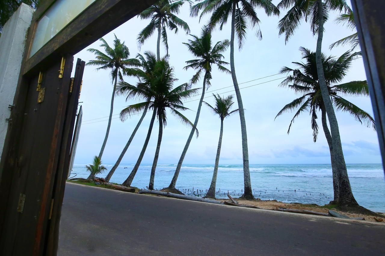 Turtle Eco Beach Matara Exterior foto