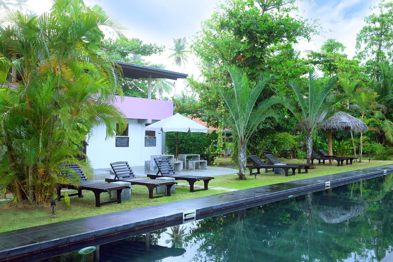 Turtle Eco Beach Matara Exterior foto