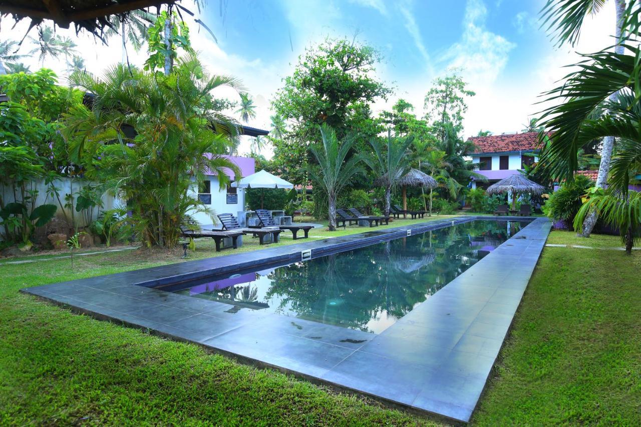 Turtle Eco Beach Matara Exterior foto
